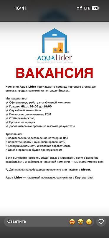 штаны лининг: Вакансия: Торговый агент (оптовые продажи сантехники), г. Бишкек — 1