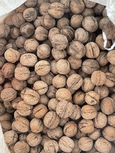 ат сатам: Продаю орехи 70 кг есть 
Только звонить