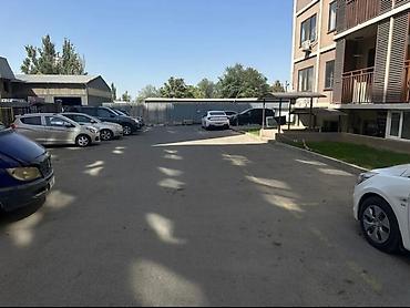 46: Ж. К. Фрунзенец,Садырбаева 1/9, Баха-Гагарина, 46 кв/м. сан, узел — 4