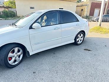 kia cerato koup: Kia Cerato: 2 l | 2008 il Sedan — 7
