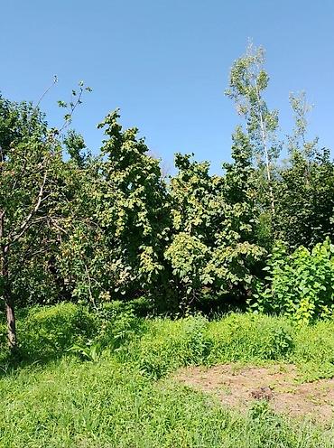 Torpaq sahələrinin satışı: Kənd təsərrüfatı — 9