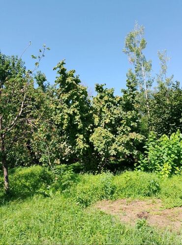 Torpaq sahələrinin satışı: 82 sot, Kənd təsərrüfatı, Mülkiyyətçi, Kupça (Çıxarış) — 9