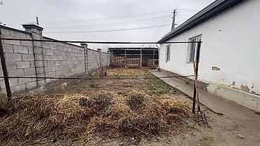 Продажа участков: 5 соток, Для строительства, Красная книга at lalafo.kg — 8 Продажа участков: 5 соток, Для строительства, Красная книга — 8