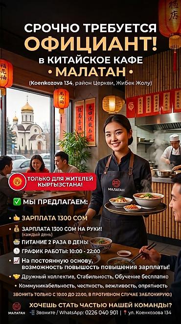Требуется Официант Без опыта, Оплата: Ежедневно