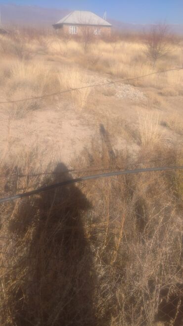 Сейф-книги: Сейф-книга — 6