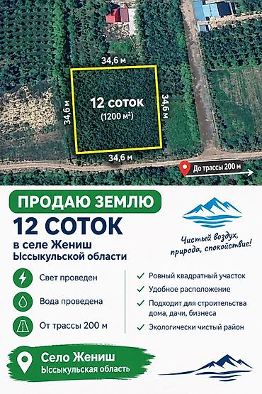 1200 соток, Для бизнеса, Договор купли-продажи