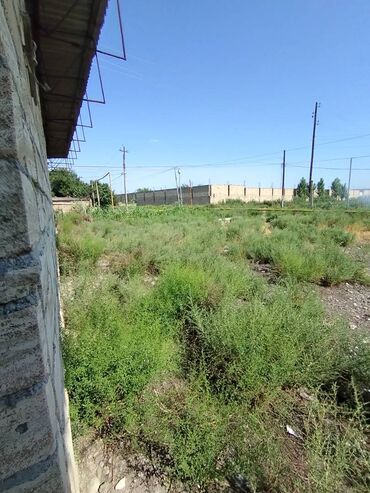 Torpaq sahələrinin satışı: 12 sot, Kupça (Çıxarış) — 9