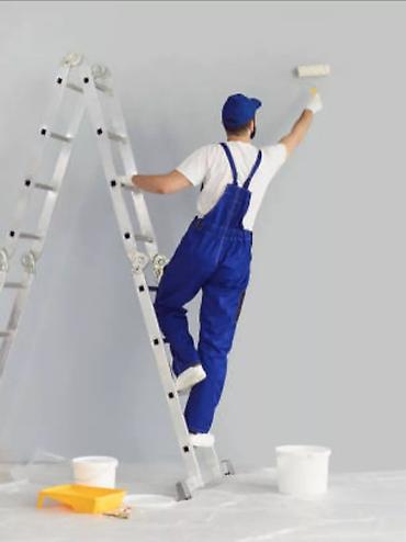 Поклейка обоев: Демонтаж старых обоев, Поклейка обоев Больше 6 лет опыта — 12