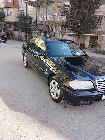 karting maşınları: Mercedes-Benz 240: 2.4 l | 1998 il Sedan — 8