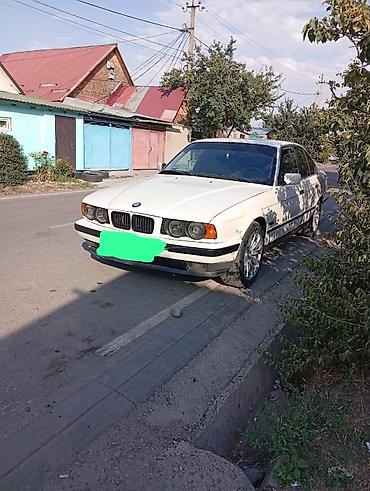 bmw e39 2 5: BMW 5 series: 1992 г., 2.5 л, Механика, Бензин, Седан — 2