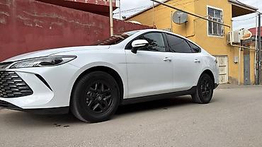 qin plus: BYD Qin Plus: 1.5 l | 2025 il 67400 km Sedan — 2