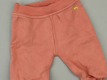 allegro legginsy bezszwowe: Spodnie dresowe, 3-6 m, stan - Bardzo dobry