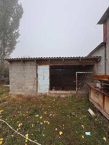 Продажа коттеджей и домов: Село Кайырма (верхний)Айдарбеков продаю дом 5ком с участком 7.5 соток — 4