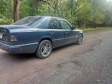 мер 124: Mercedes-Benz W124: 1991 г., 3 л, Механика, Дизель, Седан — 3