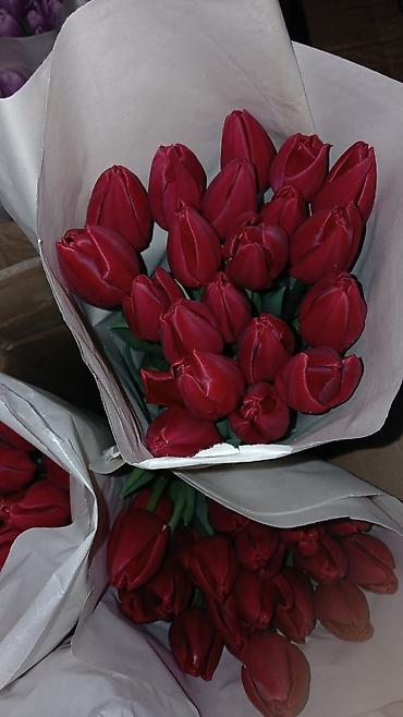 Букеты из живых цветов: Букеты из тюльпанов - Классические моно‑букеты и мини‑букеты в — 9