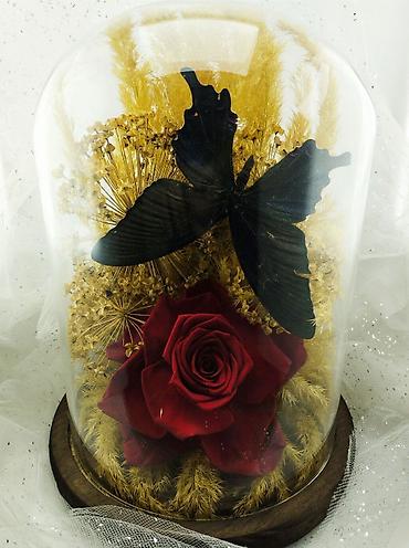 Организация мероприятий: Живые розы которые не завянут даже через год!!! Красивые цветы для — 3