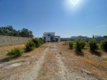 Torpaq sahələrinin satışı: 12 sot, Mülkiyyətçi, Kupça (Çıxarış) — 13