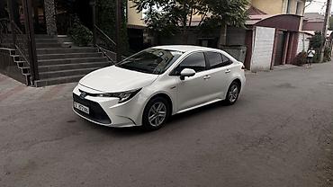 levin corolla: Toyota Corolla: 2021 г., 1.8 л, Вариатор, Гибрид, Седан — 2