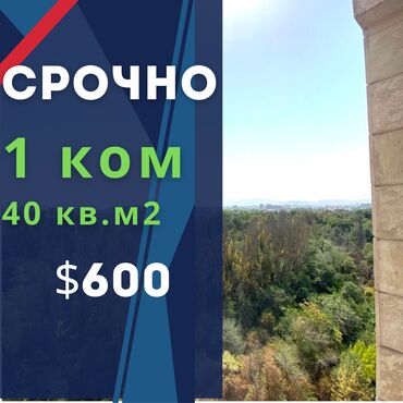 ботанический сад: 1 комната, Агентство недвижимости, Без подселения, С мебелью полностью