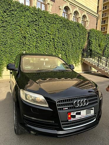 Audi: Audi Q7: 2008 г., 3 л, Автомат, Дизель, Кроссовер — 8