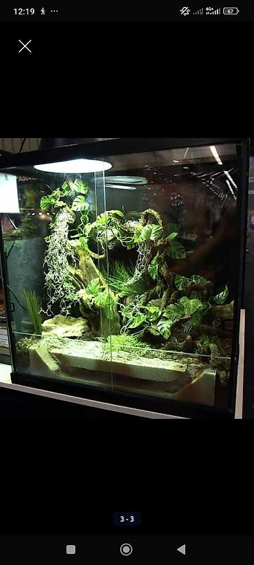 Зоотовары: Террариум, аквариум, палюдариум, флорариум, стеллажи для змей — 10