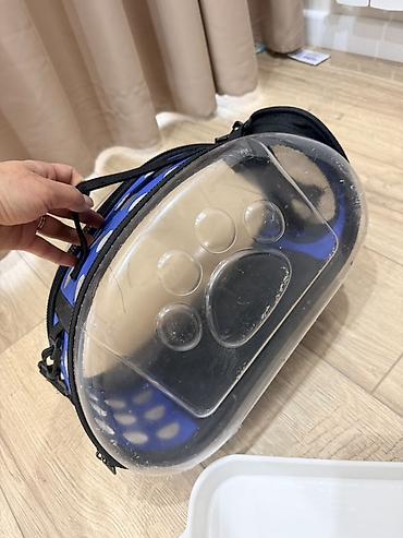 Зоотовары: Набор для кошки/котёнка(б/у) В комплект входит: - Когтеточка-столб с — 7