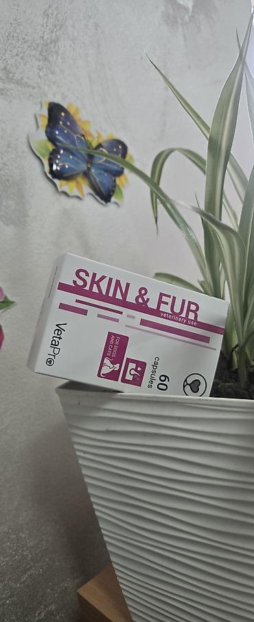 Oprema za kućne ljubimce: Pet shop Maza & Nera – sve za pse i mačke na jednom mestu - Širok — 20