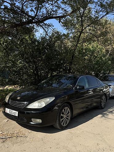 Lexus: Lexus ES: 2003 г., 3 л, Автомат, Газ, Седан — 1