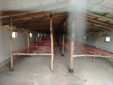 Torpaq sahələrinin satışı: 200 sot, Kənd təsərrüfatı, Mülkiyyətçi, Kupça (Çıxarış) -da lalafo.az — 8 Torpaq sahələrinin satışı: 200 sot, Kənd təsərrüfatı, Mülkiyyətçi, Kupça (Çıxarış) — 8