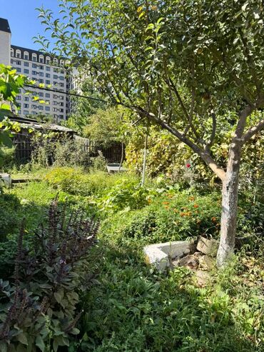 сдаю рабочий городок: 11 соток, Красная книга, Тех паспорт