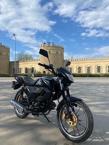 cücə satışı 2021: - CHAMP, 110 sm3, 2024 il, 7000 km — 1
