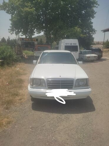 niva 213 mator: Mercedes-Benz 250: 2.5 l | 1995 il Sedan