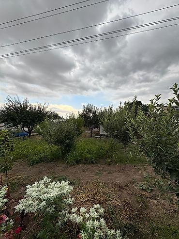 Продажа коттеджей и домов: 4 комнаты, 79 м², 13 соток, Заречное, Риэлтор — 16