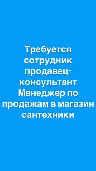 дет сад: Продавец-консультант