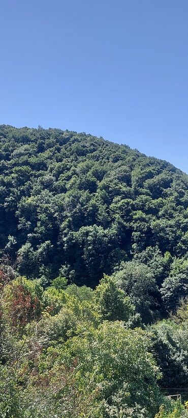 əhmədli kirayə evlər 2024: 21 sot, Biznes üçün, Kupça (Çıxarış)
