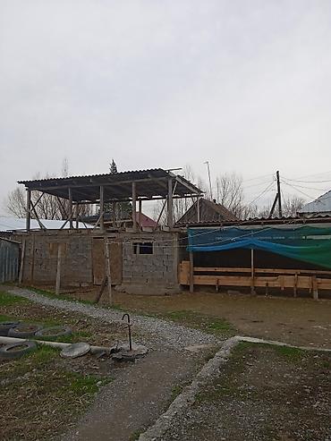 Продажа коттеджей и домов: Продаётся частный дом с большим двором и хозяйственными постройками — 3