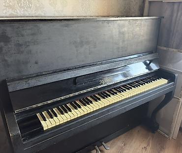 Piano, Akustik, İşlənmiş, Ünvandan götürmə lalafo.az -da Piano, Akustik, İşlənmiş, Ünvandan götürmə
