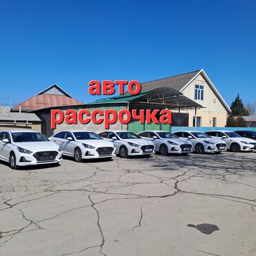 Kia: Kia K5: 2020 г., 2 л, Автомат, Газ, Седан