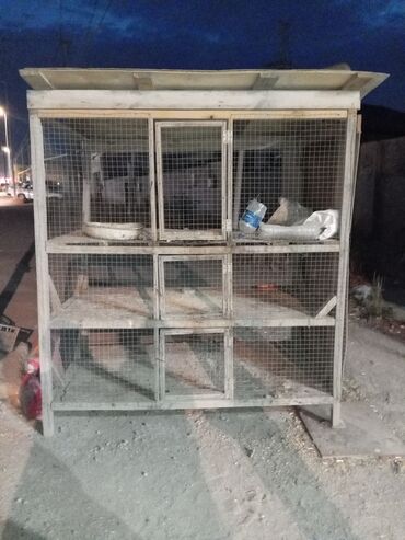 it ucun qefes: İt yemi reklam toyuq setqasi ve cuceni saxlamaqa şuşeli eşya içinde