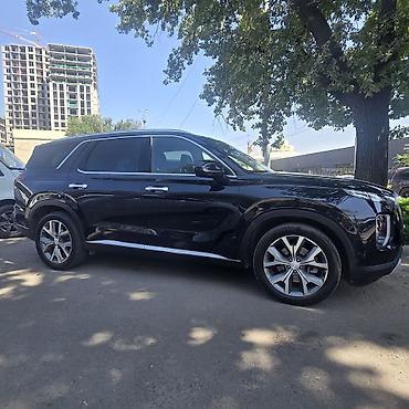 terrain: Hyundai Palisade: 2020 г., Кроссовер — 2