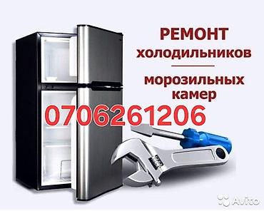 Профессиональный ремонт холодильников и морозильных камер. -