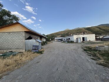 квартира арча бешик 5000: Продаю Кошара, 42 соток, Действующий, С оборудованием, Электричество, Скважина, Холодная вода