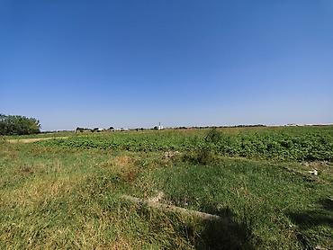 saray heyet ev type 1: 300 sot, Kənd təsərrüfatı, Mülkiyyətçi, Kupça (Çıxarış) — 3