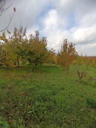 Bağ evlərinin satışı: Şabran, 100 kv. m, 3 otaqlı, Hovuzsuz, Kommunal xətlər qoşulmayıb — 9