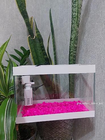akvarium qızdırıcı: Topdan satılır say çoxdu ölçülər 30×25×15 (. 11 litir qapaqlı və — 9