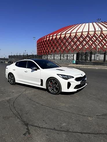 byd 2: Kia Stinger: 2019 г., 2 л, Автомат, Бензин, Лифтбек — 2