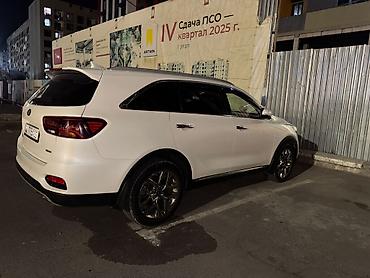 Kia: Kia Sorento: 2019 г., 2 л, Автомат, Дизель, Кроссовер — 13