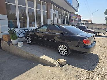 два авто: Toyota Camry: 2004 г., 2.4 л, Автомат, Газ, Седан — 4