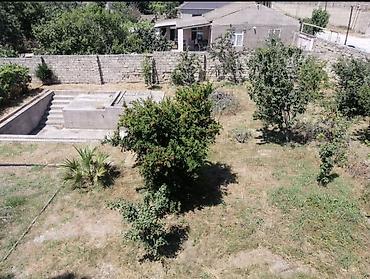 Torpaq sahələrinin satışı: 8 sot, Tikinti, Bələdiyyə — 4