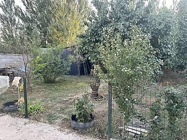 Продажа коттеджей и домов: 🔥 Дом с бизнесом | ПВЗ Wildberries | Угловой 🏡 Продаётся одноэтажный — 5